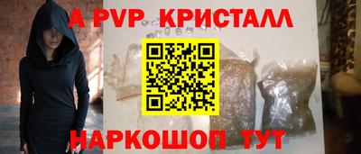 индика Камышлов
