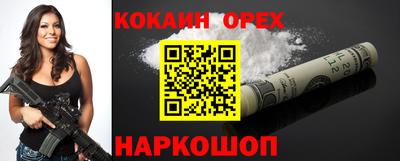 индика Камышлов