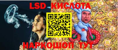 индика Камышлов