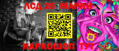 индика Камышлов