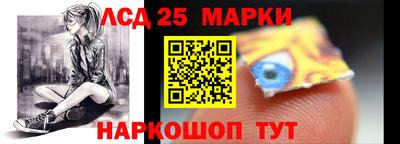 индика Камышлов