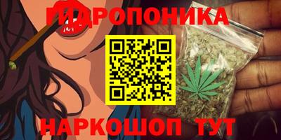сатива Канаш