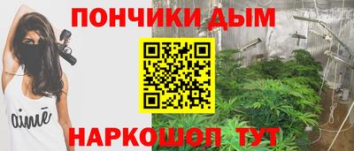 индика Камышлов
