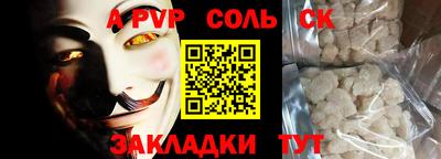 индика Камышлов