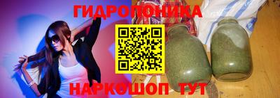 индика Камышлов