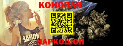 индика Камышлов