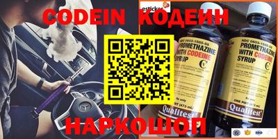 индика Камышлов