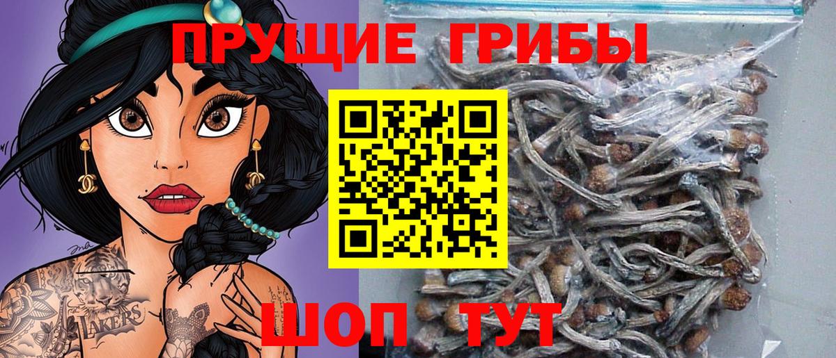 Дзержинский  Галлюциногенные грибы мухоморы  Вход с VPN 